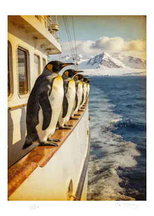 Mr Strange - Antarctica kopen? Bied vanaf 80!