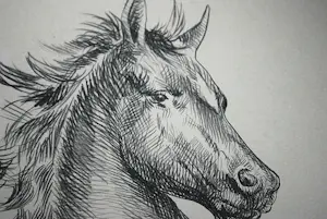 Marcello Cassinari Vettor - Cavallo - steigerend paard - grote litho, oplage 53/150 kopen? Bied vanaf 60!