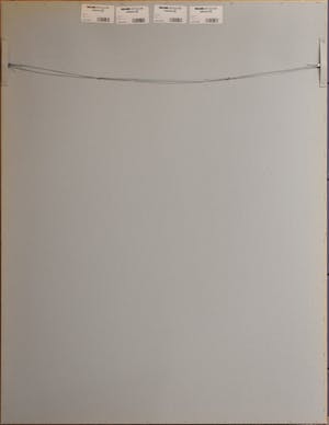 Ralph Janowski - Bomen kopen? Bied vanaf 1!