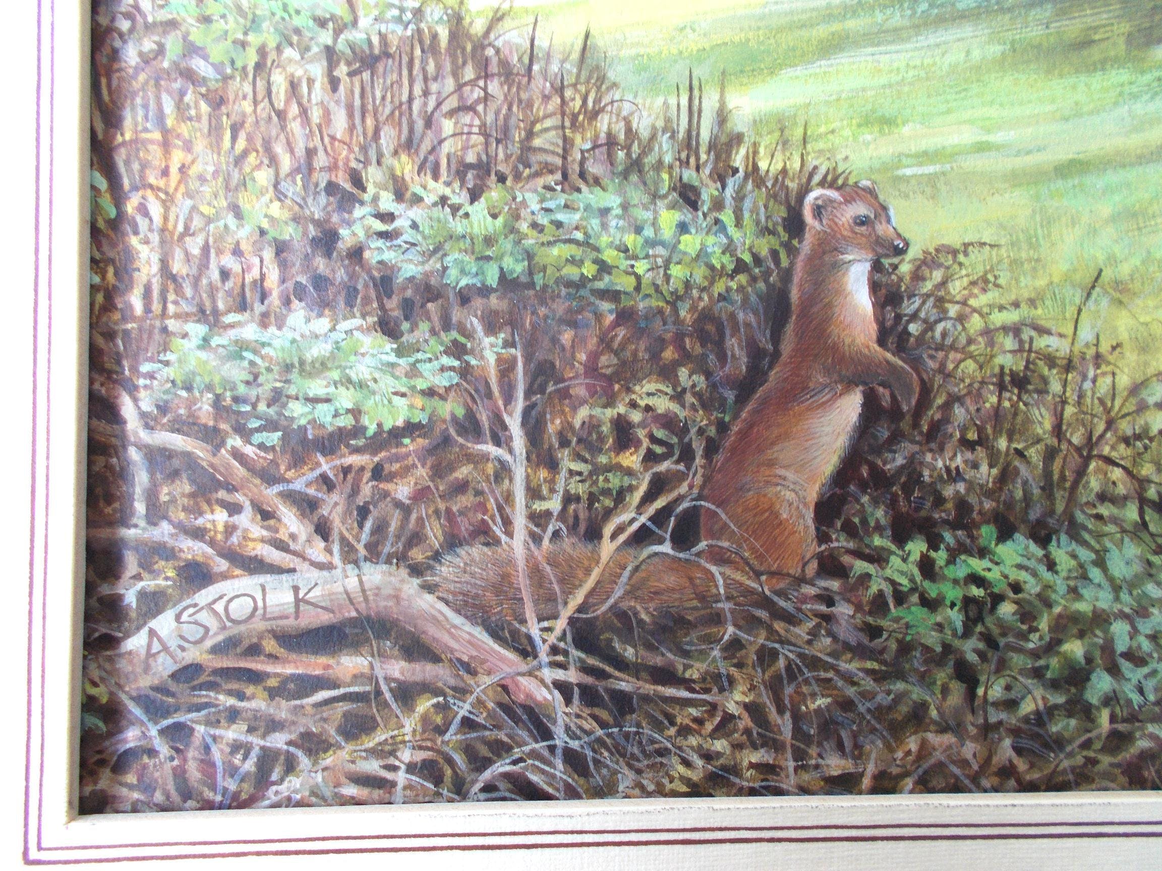 Ari Stolk - Boommarter in de Scheelhoek kopen? Bied vanaf 75!