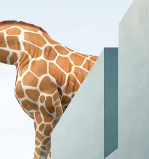 Mr Strange - The Explorer kopen? Bied vanaf 80!