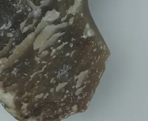 Angelo Moyano - Sculptuur van natuursteen / albast op houten sokkel, Vrouwentorso kopen? Bied vanaf 1500!