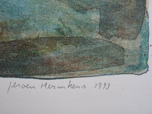 Jeroen Hermkens - MONS VAR kopen? Bied vanaf 65!