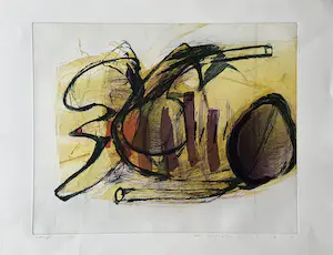 Hans Vredegoor - Prachtige kleurenets - Gesigneerd - Kleine oplage - 'Intrige' kopen? Bied vanaf 65!