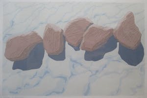 Carmi Butteling - ingelijste litho kopen? Bied vanaf 1!