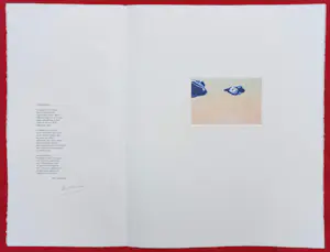 Nono Reinhold - Voor Nono, vijfkleuren ets met gedicht van Bert Schierbeek kopen? Bied vanaf 95!