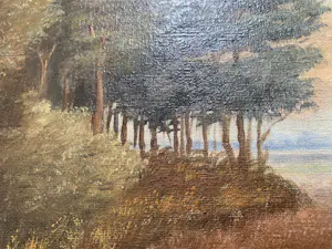 Sam Schellink - Landschap kopen? Bied vanaf 100!