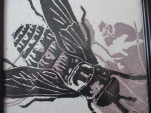 Hans Bode - Tekening van een bij kopen? Bied vanaf 10!