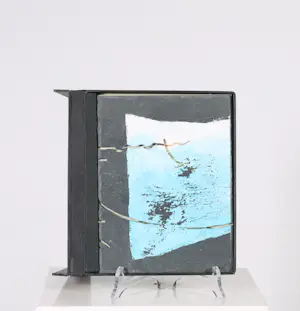 Frits Jansen - en andere! Kunstcassette met 11 doosjes, De Stijlloos kopen? Bied vanaf 1!