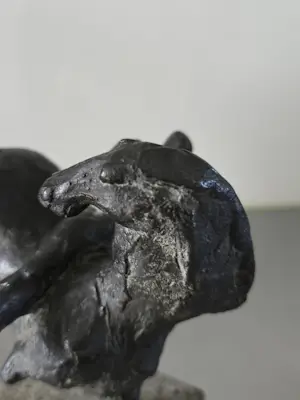 Felix van der Linden - Lucky kopen? Bied vanaf 200!