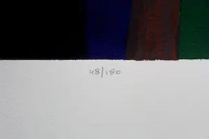 Ton Schulten - zeefdruk: in volle bloei - 1999 kopen? Bied vanaf 375!