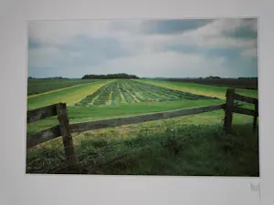 Martin Kers - kleurenreprodukties kopen? Bied vanaf 60!