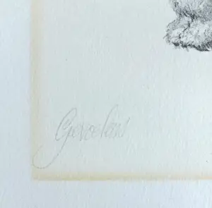 Peter Vos - Gevoelens, litho kopen? Bied vanaf 20!