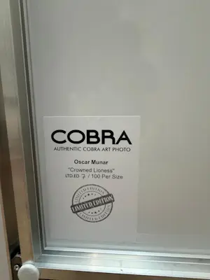 Oscar Munar - Crowned Lioness kopen? Bied vanaf 750!