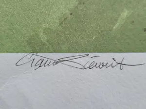 Ciano Siewert - Molen. kopen? Bied vanaf 45!