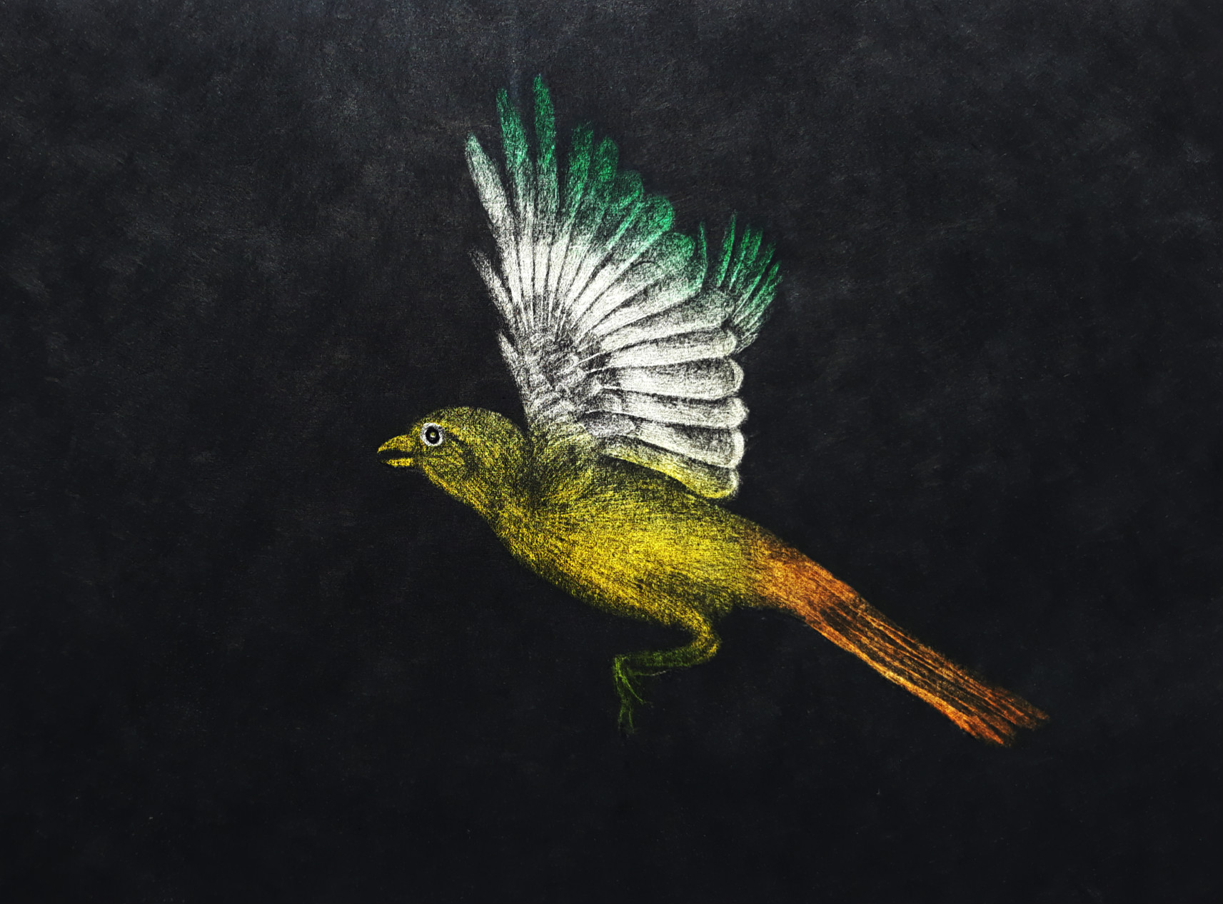 Tomoe Yokoi - Bird in flight, aquatint ets verkocht voor € 95!