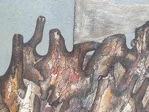 Sjef van Schaijk - De aftocht der peelpuisten kopen? Bied vanaf 400!