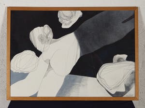 Francesca Sannes - Val op de vlucht - 1975 - inkt en krijt op papier - BKR Den Haag kopen? Bied vanaf 20!