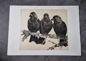 Willem Abraham Wassenaar - monochrome jaren 30 lithografie "3 kauwen op tak" potloodgesigneerd kopen? Bied vanaf 34!