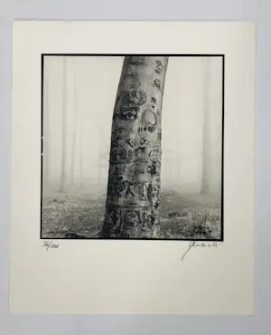 Ralph Janowski - zonder titel kopen? Bied vanaf 45!