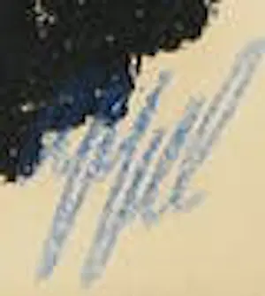 Karel Appel - Rhapsodie de ma nuit kopen? Bied vanaf 300!