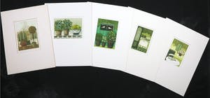 Laetitia de Haas - Lot van vijf kleurenetsen, Stillevens kopen? Bied vanaf 60!