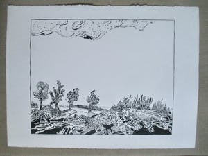 Pieter Holstein - Grote litho kopen? Bied vanaf 50!