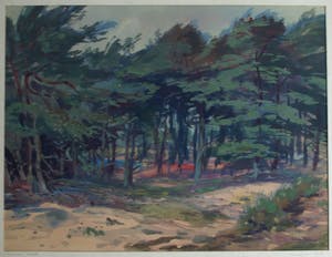 Klaas Pijlman - Ingelijste gouache , “Dennenbomen in Drenthe” - 1954 kopen? Bied vanaf 40!