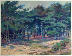 Klaas Pijlman - Ingelijste gouache , “Dennenbomen in Drenthe” - 1954 verkocht voor € 40!