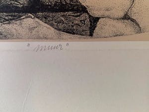 Gerard van Rooy - Muur. kopen? Bied vanaf 25!