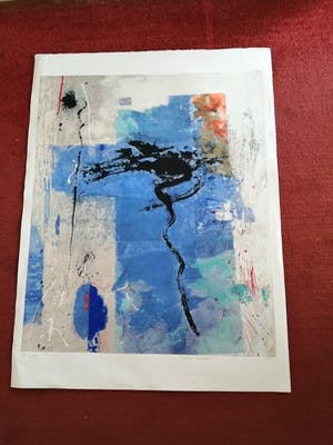 Peter Schenk - Topwerk kopen? Bied vanaf 75!