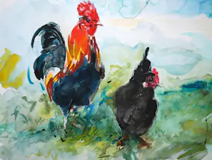 Jeanne Wesselius - Kip en haan - aquarel kopen? Bied vanaf 20!
