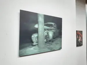 Erwin van Krey - Crash kopen? Bied vanaf 100!