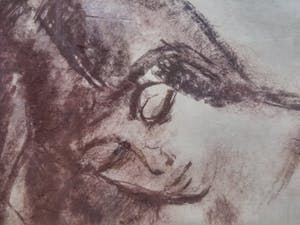 Cees Bantzinger - Naakt in krijt - groot formaat! kopen? Bied vanaf 125!