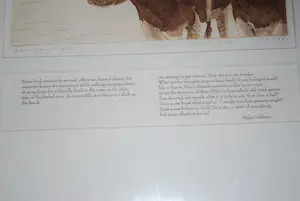 Han van Hagen - Ets 2 koeien - 2000 - oplage 200 - incl boekwerk hardcover kopen? Bied vanaf 100!