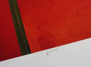 Bruno Bruni - " Amarillis " - kleurengiclee - handgesigneerd kopen? Bied vanaf 59!