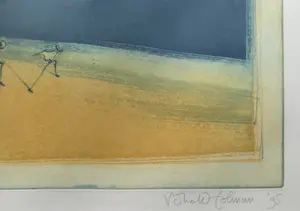 Ronald Tolman - handgesigneerde kleurenets | 'Zonder titel' | 1995 (INGELIJST) kopen? Bied vanaf 120!