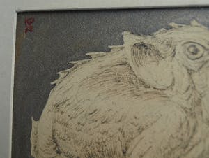 Klaas Pijlman - 3 Tekeningen , Fantasiedieren – gesigneerd & ingelijst - 1972 kopen? Bied vanaf 10!