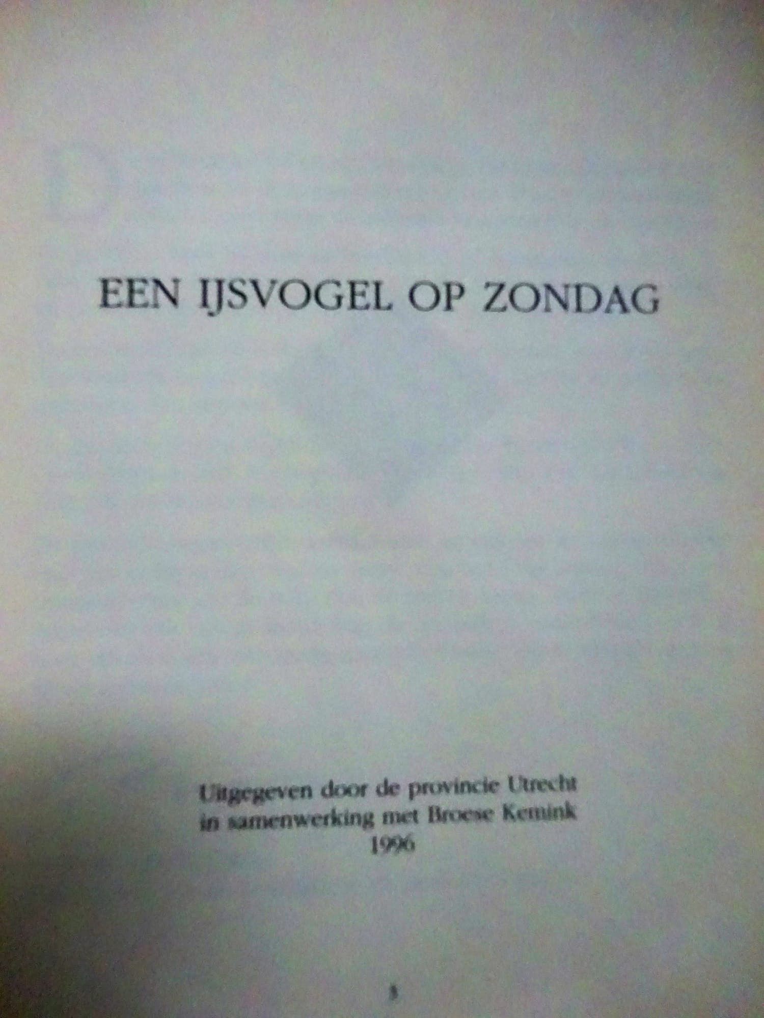 Willem Noyons - Een IJsvogel op zondag kopen? Bied vanaf 1!