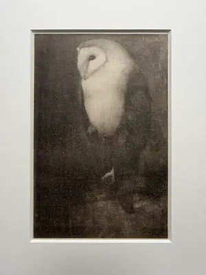 Jan Mankes - Originele Heliogravure Uil op Boomtak 1927 kopen? Bied vanaf 165!