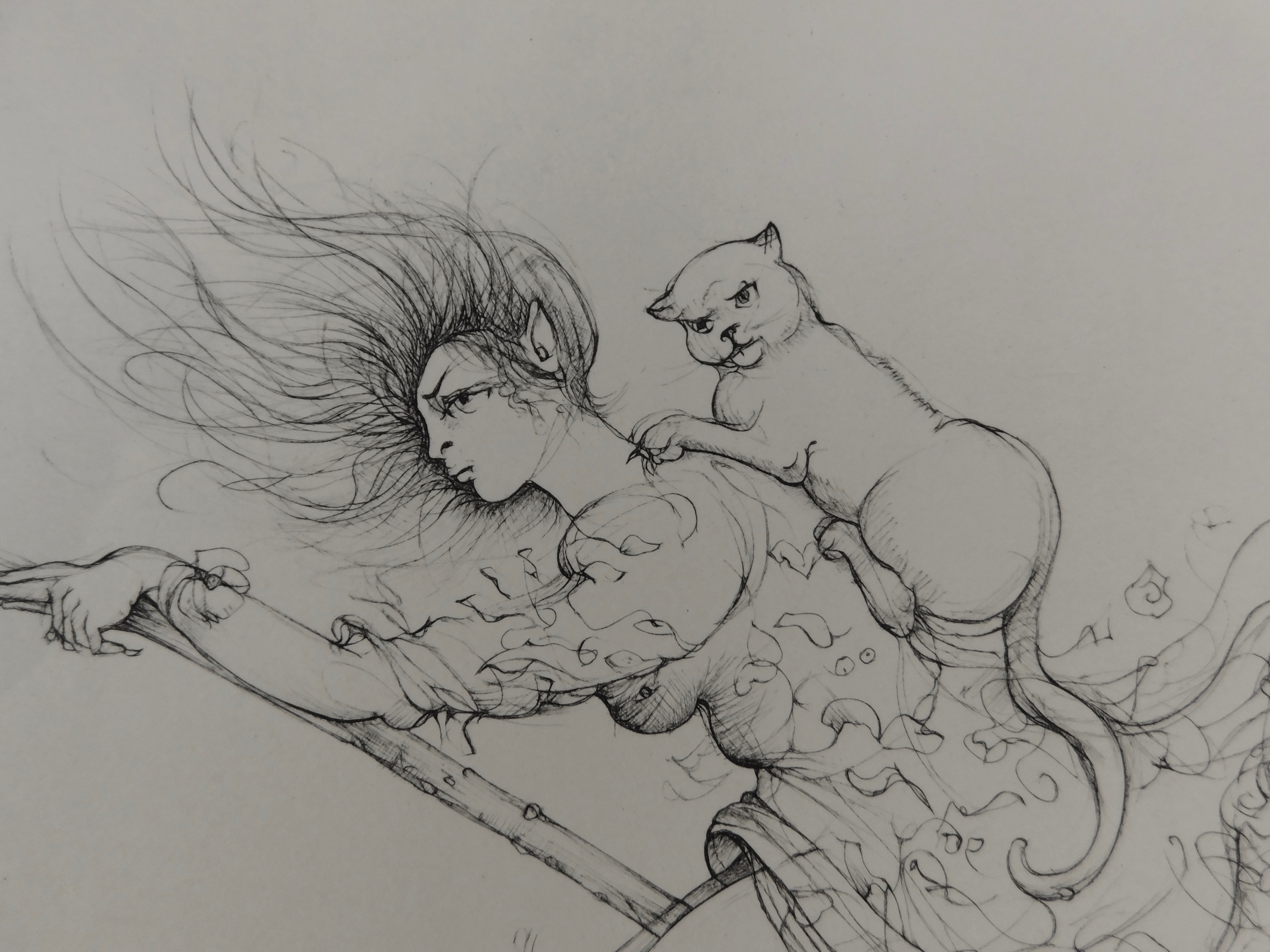 Leonor Fini - La Sorcière sur le Balai kopen? Bied vanaf 60!