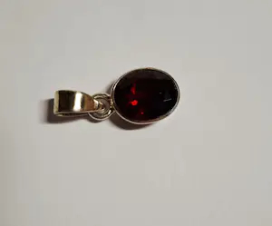Nieuwe Handgemaakte  zilveren hanger met een mooie gefacetteerde Granaat kopen? Bied vanaf 55!