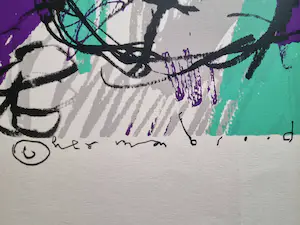 Herman Brood - Kook van jou kopen? Bied vanaf 350!