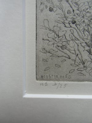 Charles Donker - BOS X kopen? Bied vanaf 160!