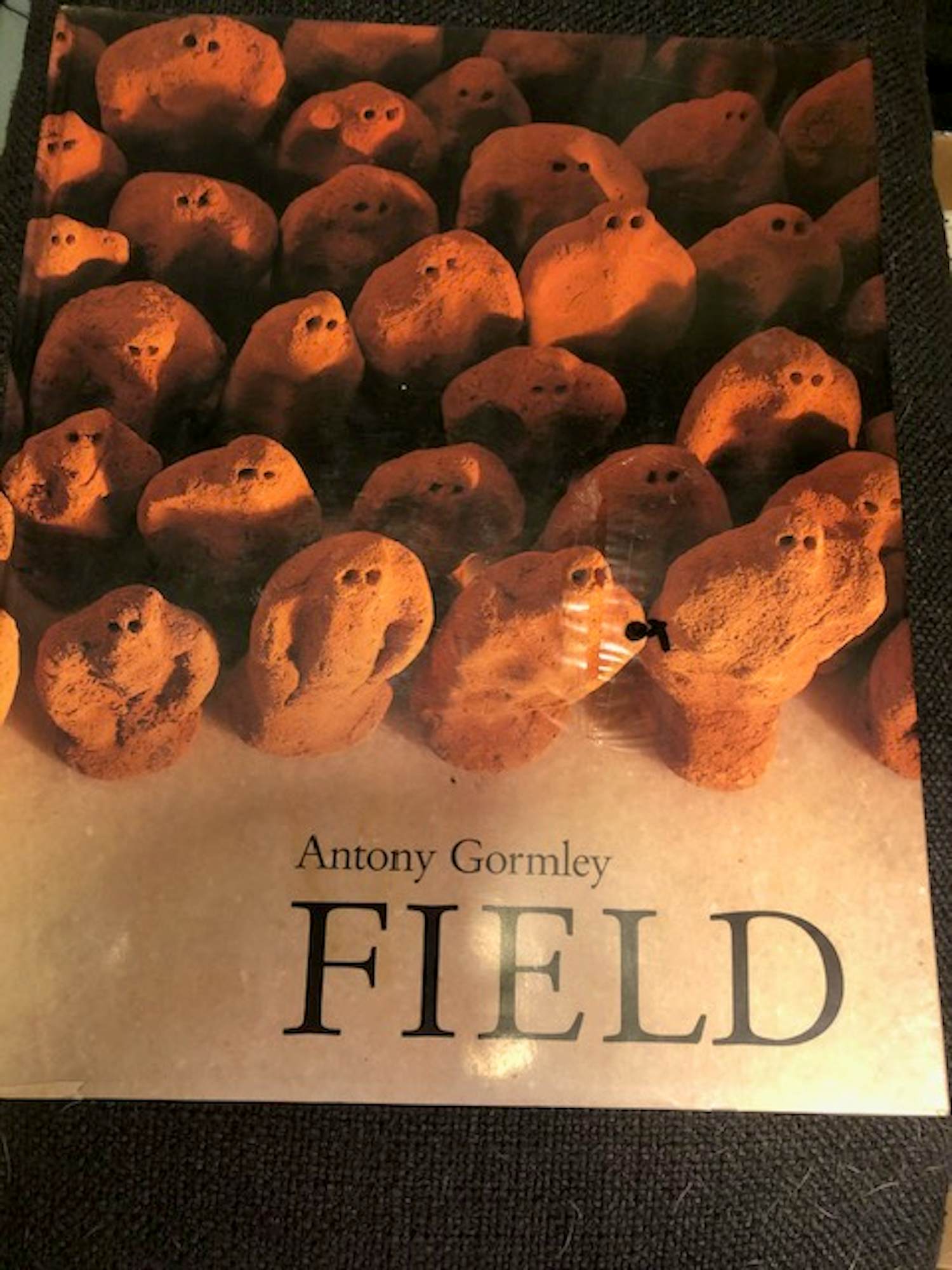 Antony Gormley - Field kopen? Bied vanaf 36!