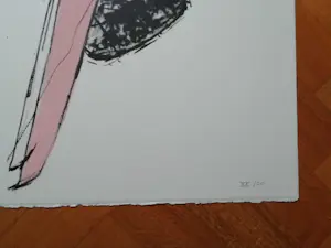 Ko Aarts - Vliegtuig kopen? Bied vanaf 85!