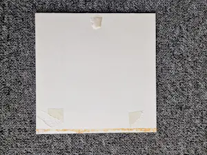 Jan Bos - Prachtig geschilderde aquarel "Musje" - gesigneerd - in passe partout kopen? Bied vanaf 35!