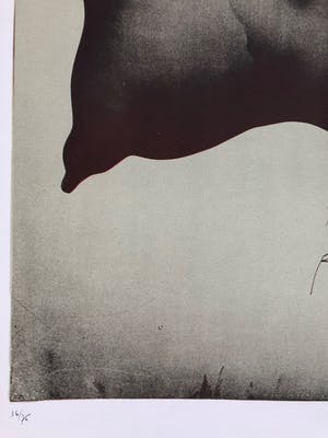 Paul Wunderlich - Titel onbekend gesigneerd kopen? Bied vanaf 100!