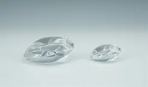 Val-Saint-Lambert - Kristallen press papier - 2 stuks: grote kikker & boomkikker kopen? Bied vanaf 80!