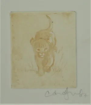 Anna Jeretic - 'Dieren' kopen? Bied vanaf 65!